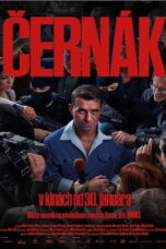 Cernak (2025)